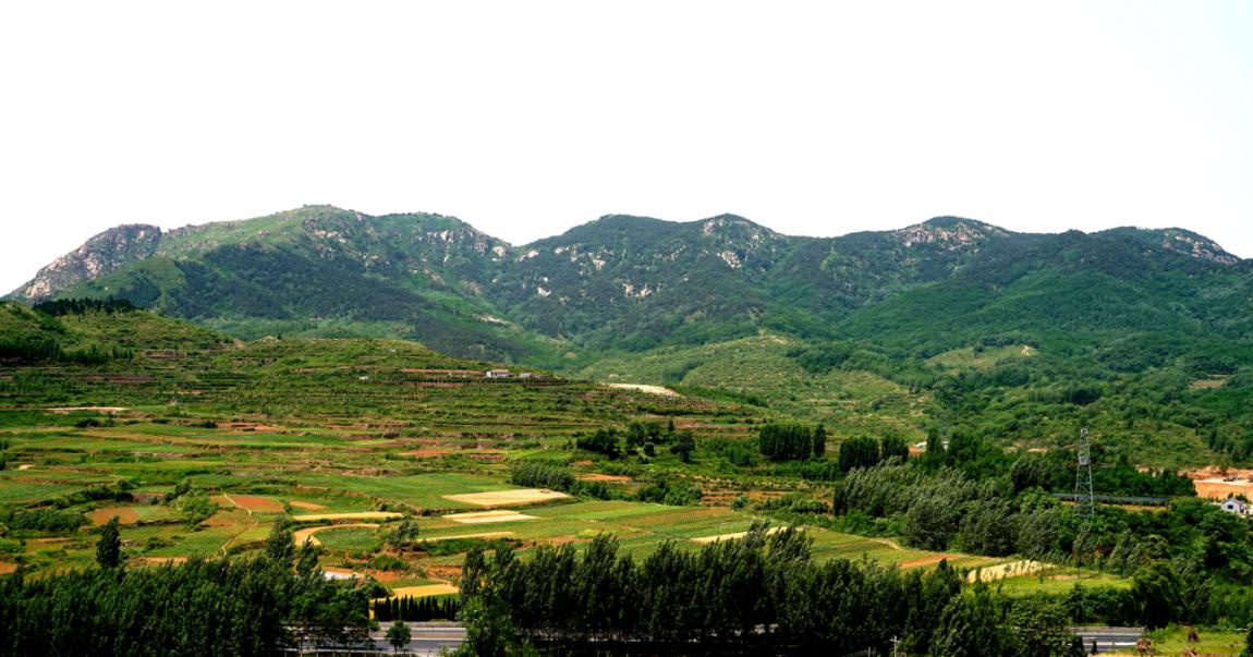 《中国名村志·樵岭前村志》
